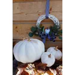 Dynia ozdobna welurowa dekoracja jesienna PUMPKIN Mini
